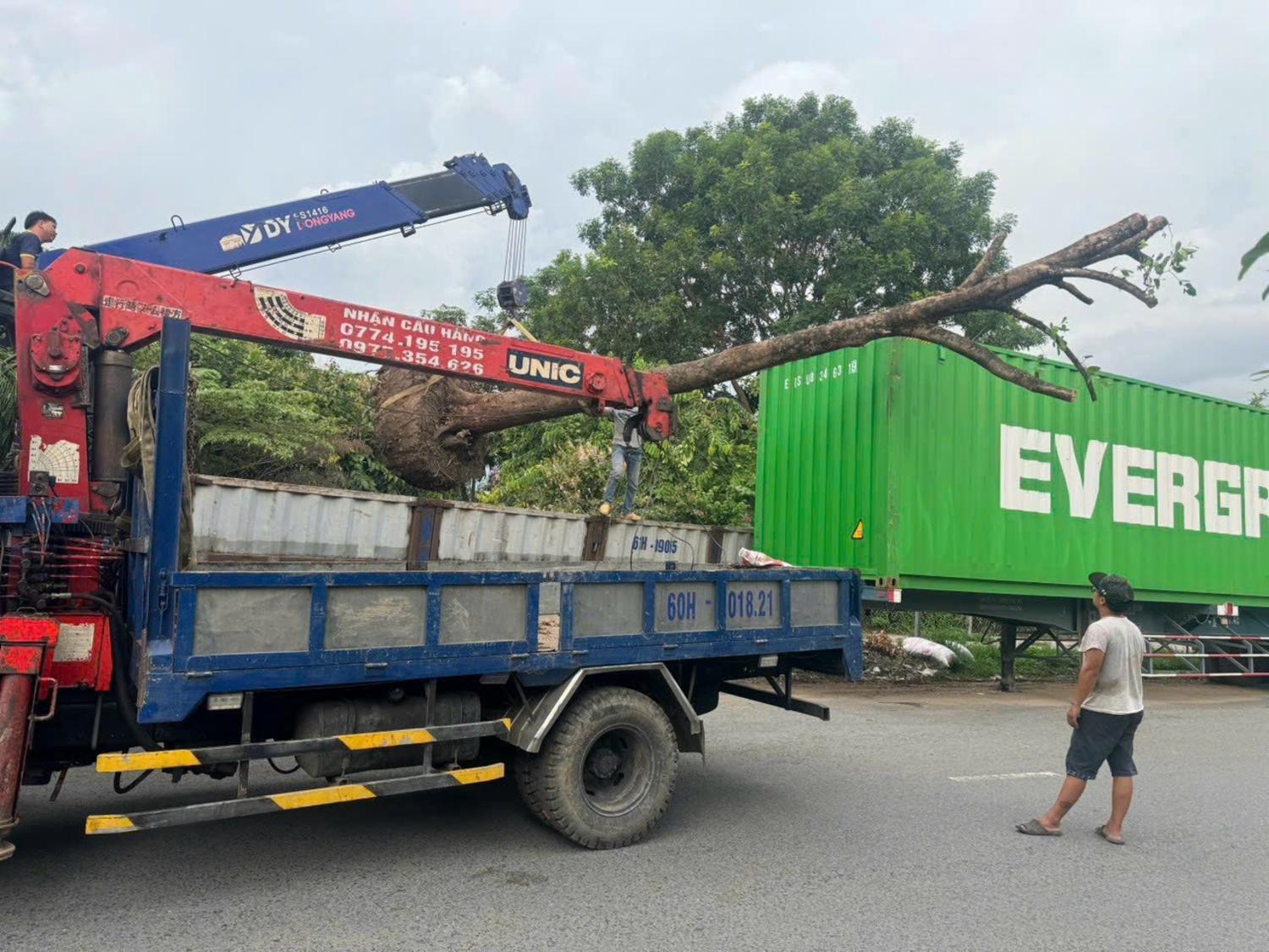 Cẩu Tải Hoàng Văn Thanh